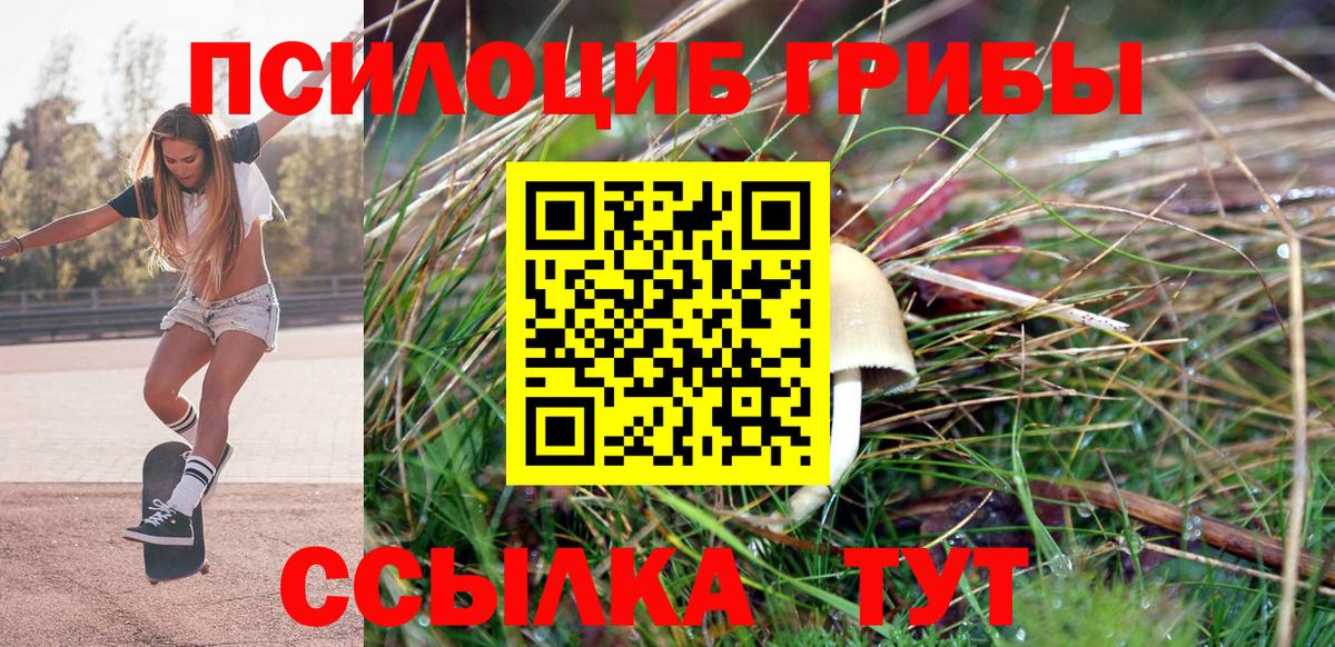 Псилоцибиновые грибы мухоморы Сосновоборск